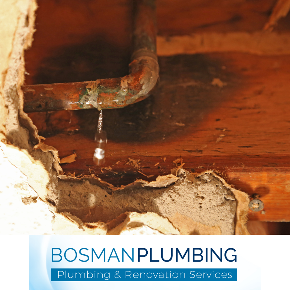 Fixing or/and replacing LEAKING PIPES Bosman Plumbing