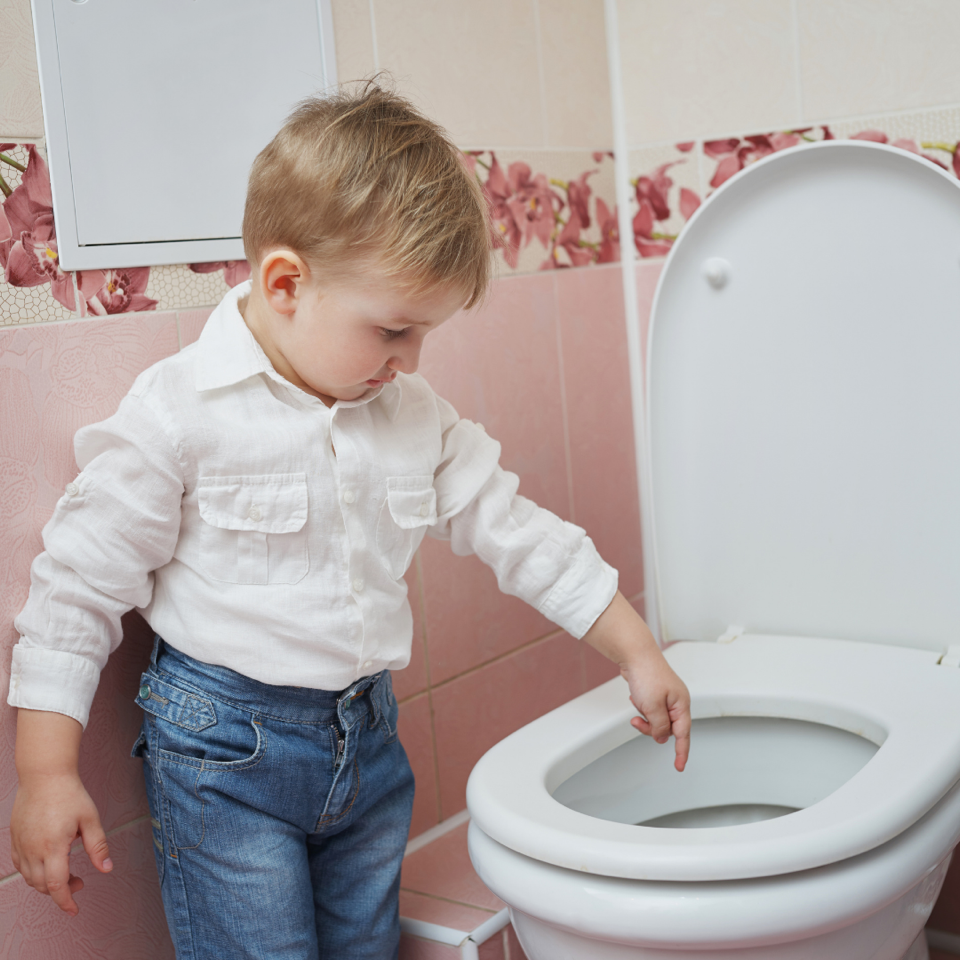 Mommy, where does the poop go? Bosman Plumbing