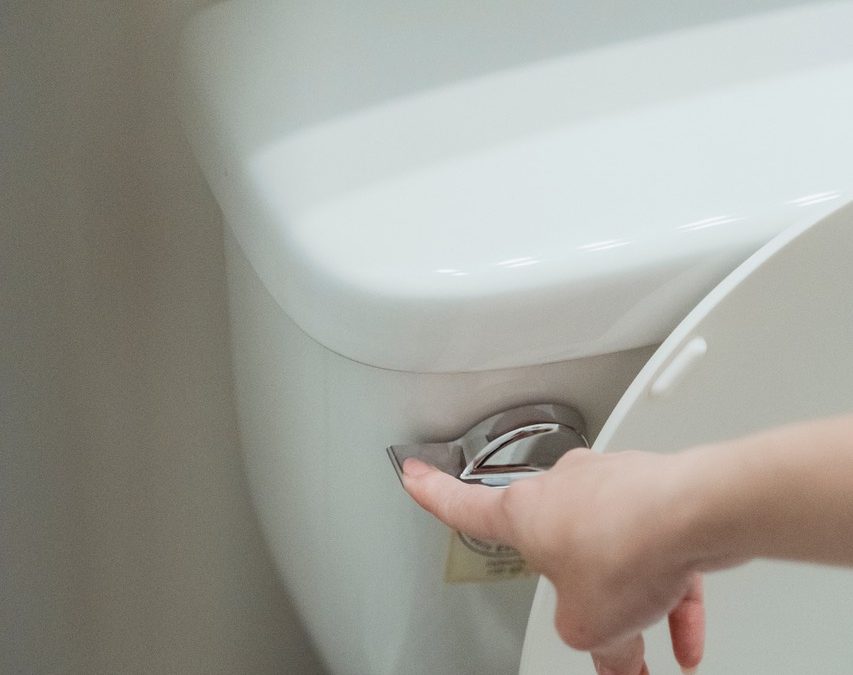 What the flush? What to do when your toilet won’t flush